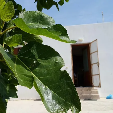 Prázdninový dům Leylandvilla Naxos City